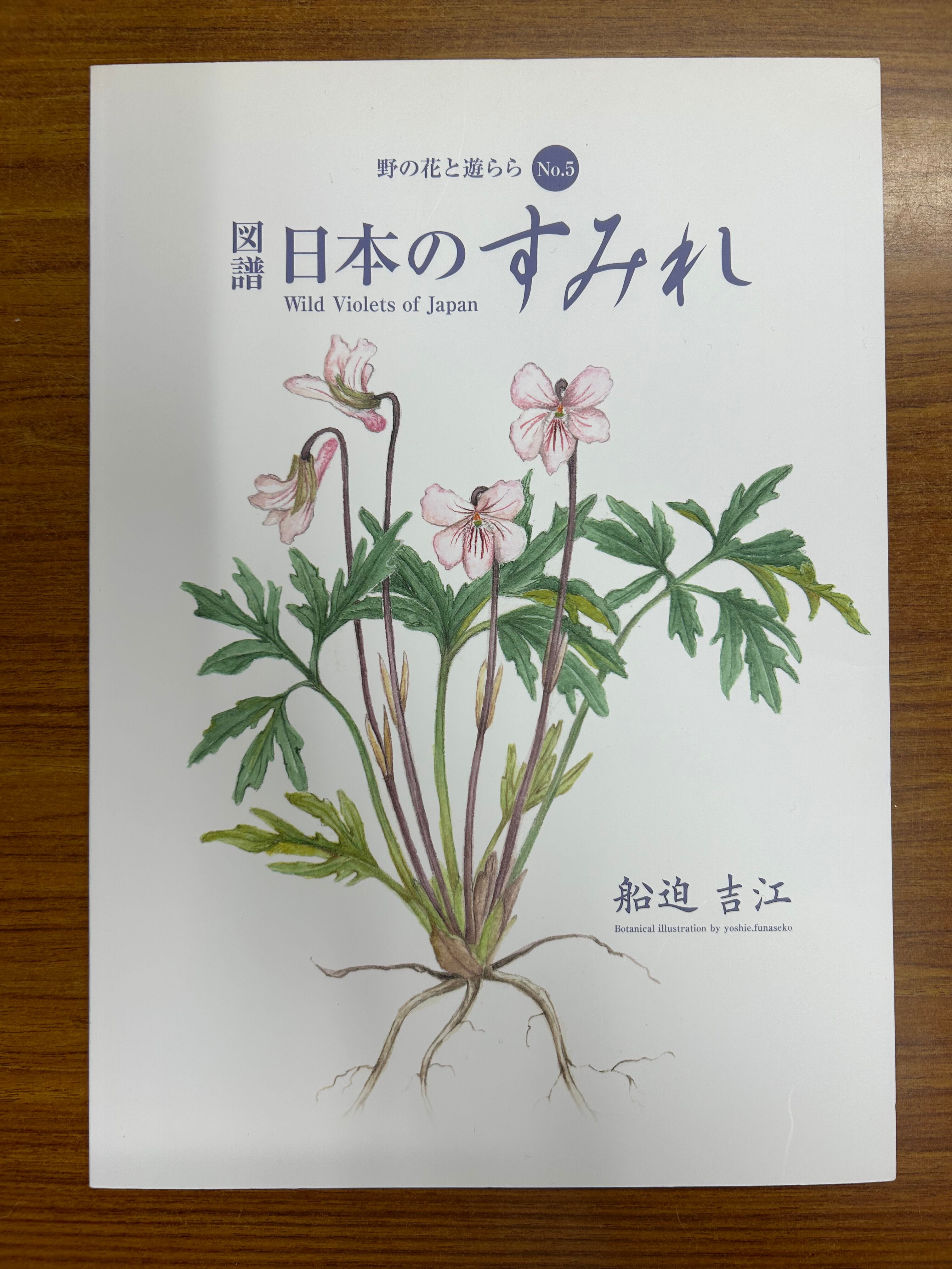 知床の高山植物 | エコ・ネットワークのおみせ