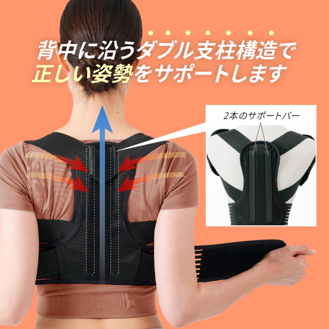 背中のミカタ コアホールド EXG305