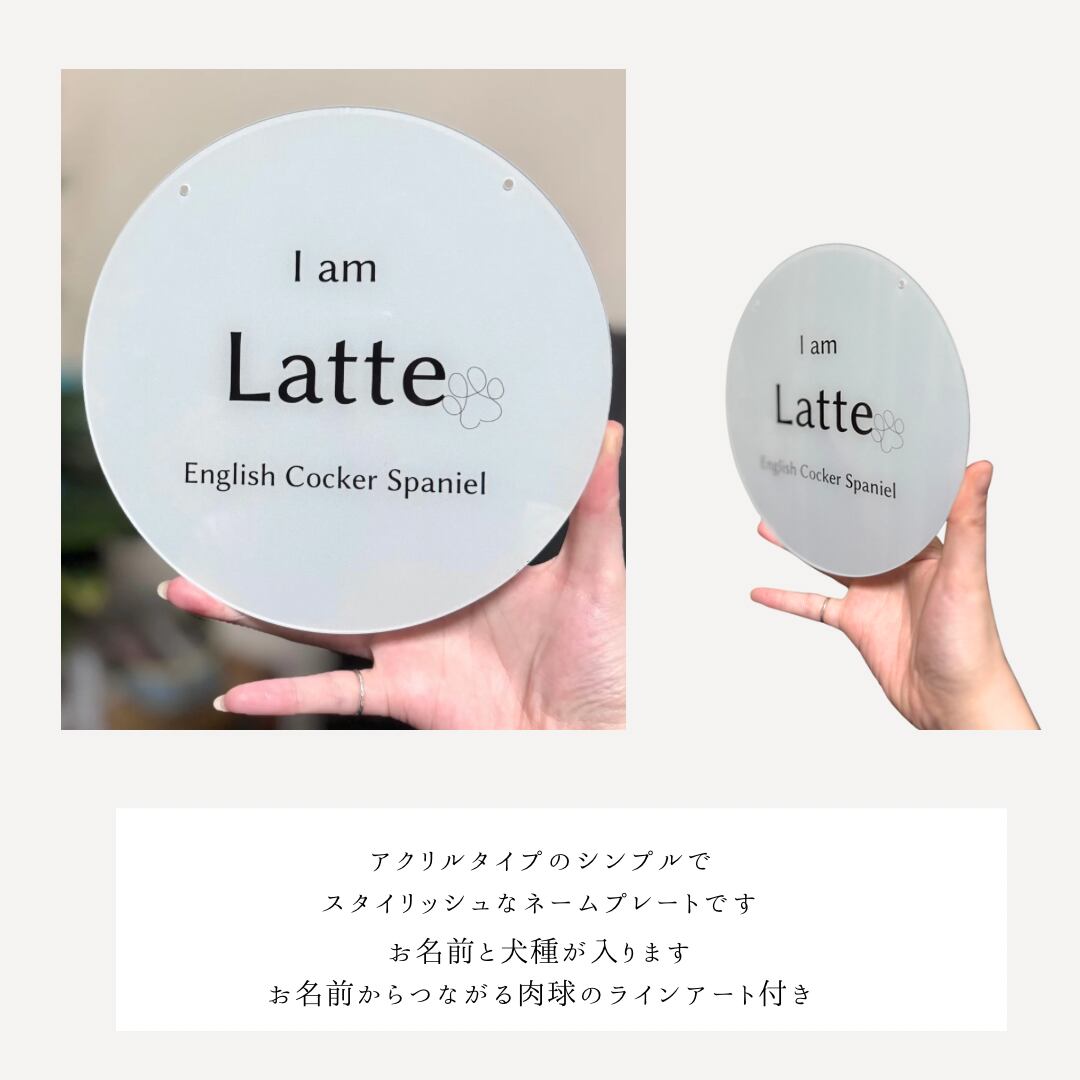 e42f340c55921d7288f6622840ee01