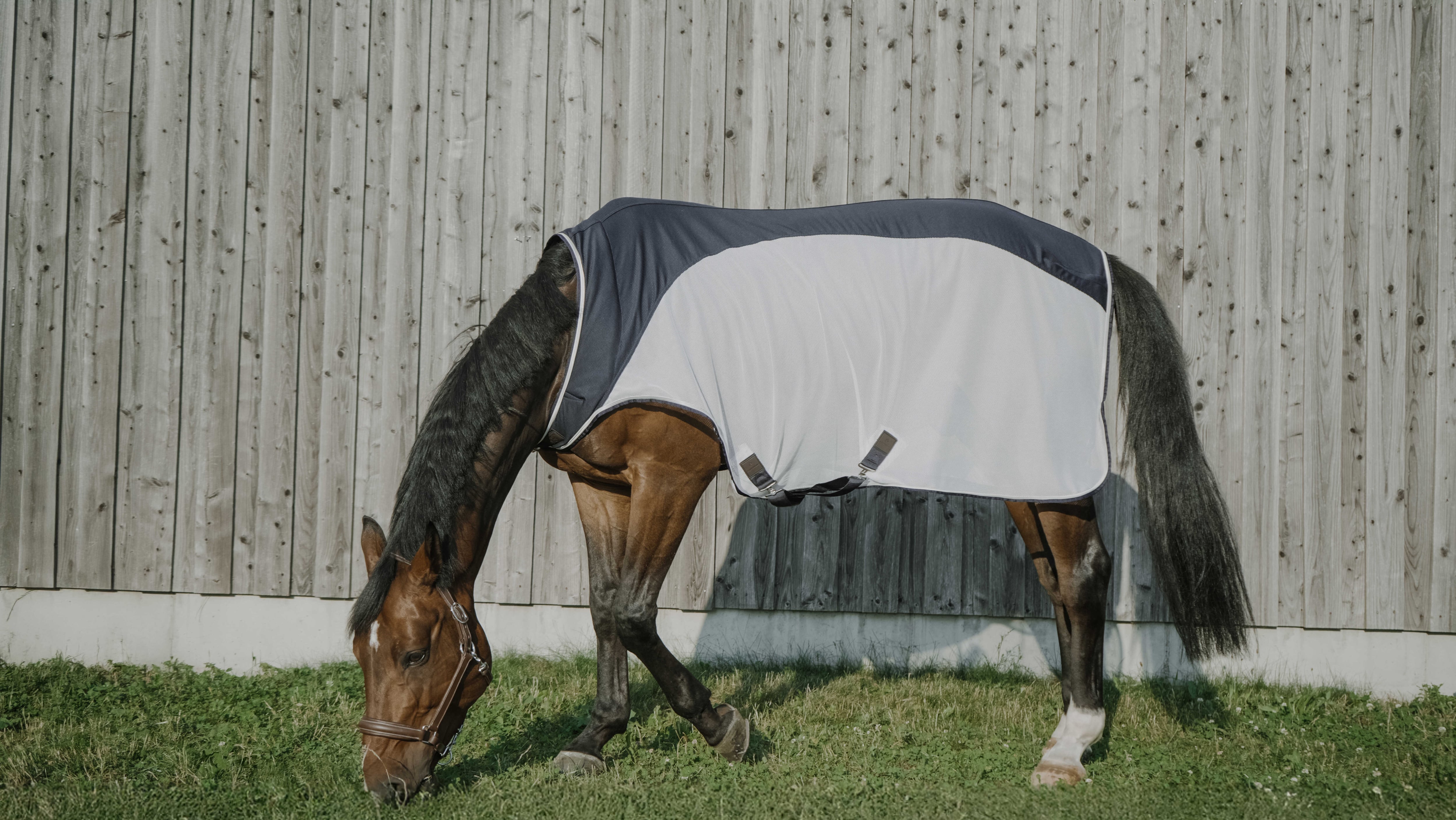 馬着・エクササイズシート | 馬具・乗馬用品 P-joux