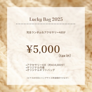 【福袋】新春 HAPPY BAG 2026（ランダムアクセサリー4点）