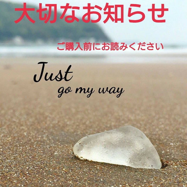 ご購入前にお読みください