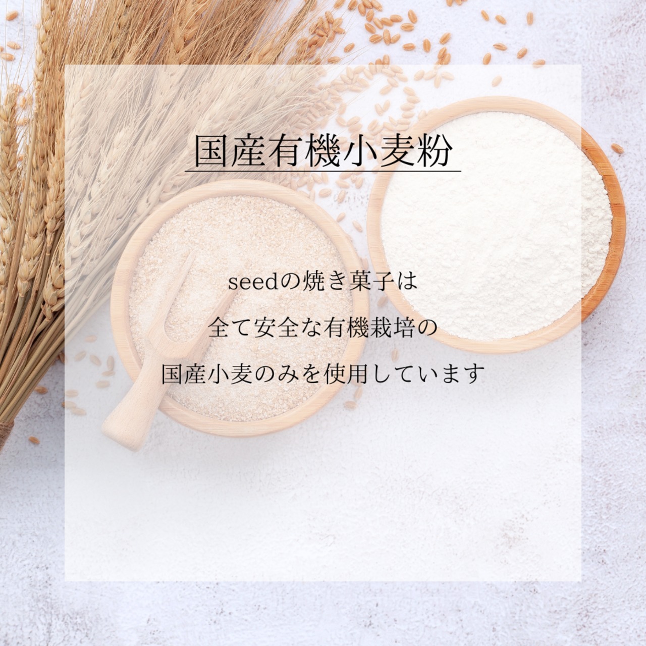 【Valentine's Day】バレンタインフリル3個セット