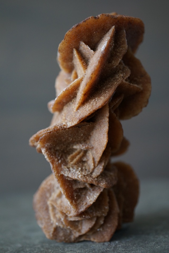 サハラ砂漠産デザートローズ Desert Rose 1409