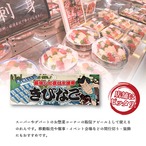 【受注生産】のれん きびなご Yakusha-e Style 85×30cm 45415