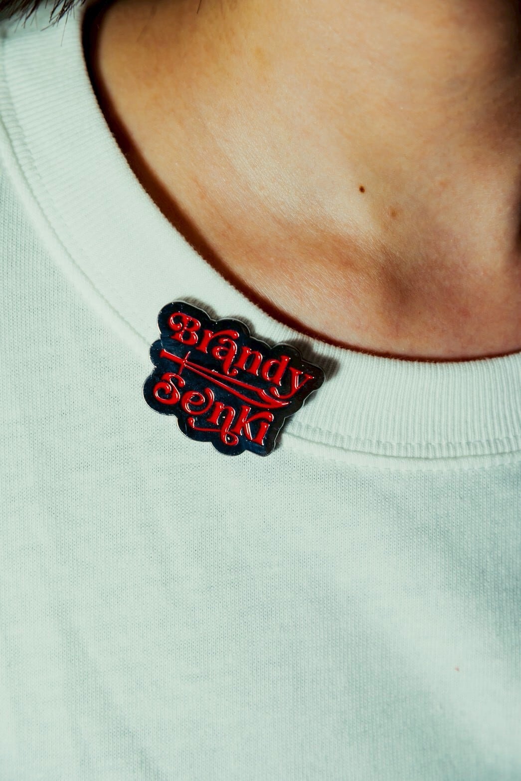BRANDYSENKI PINS | ブランデー戦記 Official Web Store