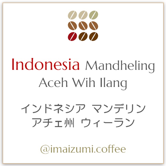 【送料込】インドネシア  スマトラ島 アチェ州 ウィーラン マンデリン - Indonesia Aceh Wih llang Mandheling - 300g(100g×3)