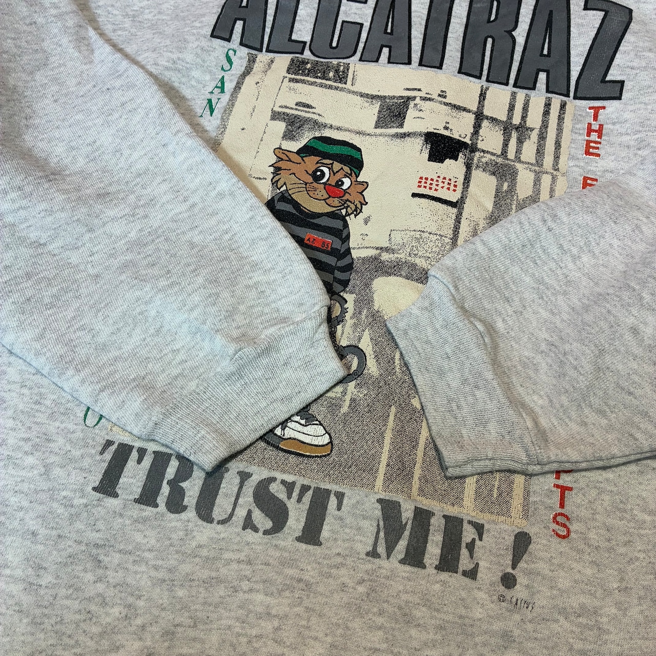 90s USA製 Hanes HEAVYWEIGHT アルカトラズ刑務所　囚人ネコちゃん　ヴィンテージスウェット