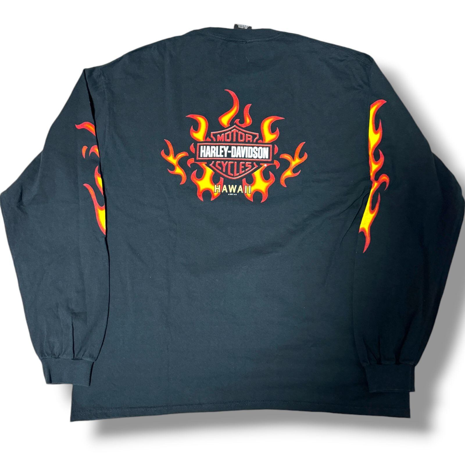 00's USA製 HAREY DAVIDSON 袖フレイムロンT