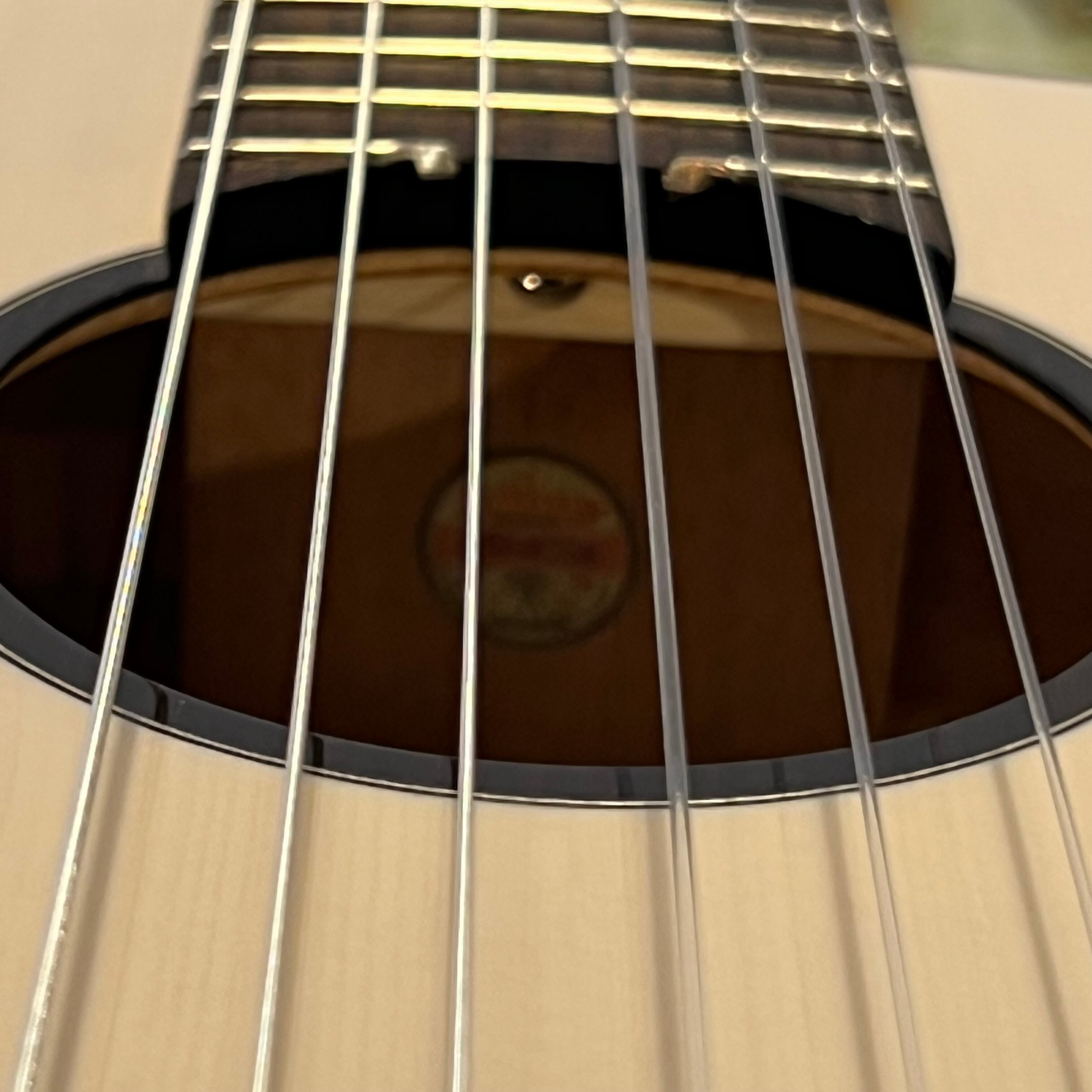 新品 調整後発送 aNueNue ミニクラシックギター aNN-N520WW | UKULELE