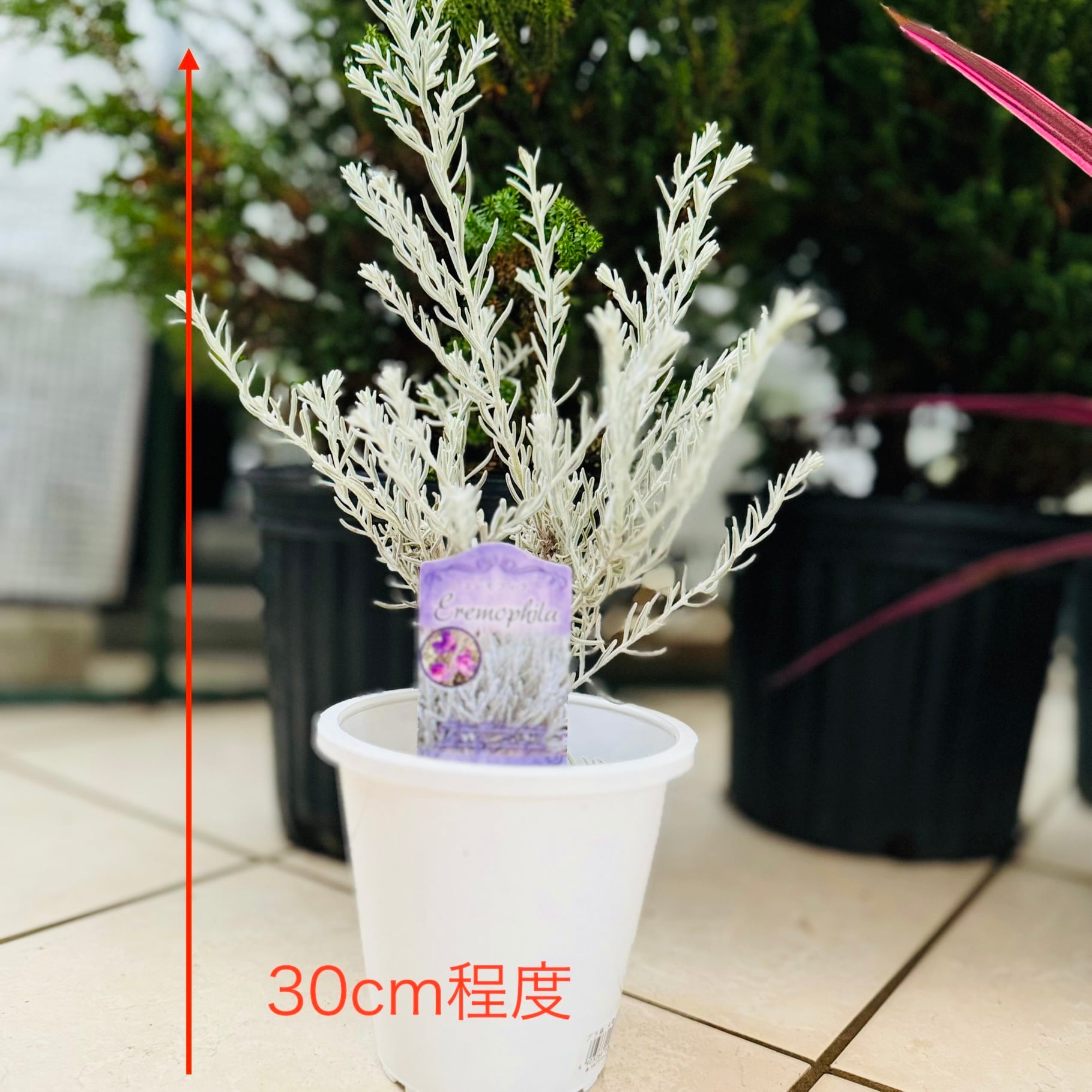 e43f3b1987b3f116f5e33d25581aa0