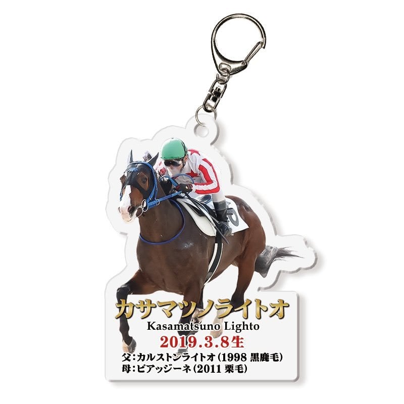 カーインライジング】40cmぬいぐるみ | ドリームホース公式グッズショップ
