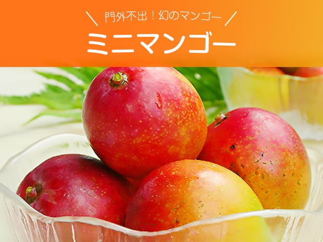門外不出！幻のマンゴー ミニマンゴー 約1キロ 沖縄県産 | 沖縄完熟  