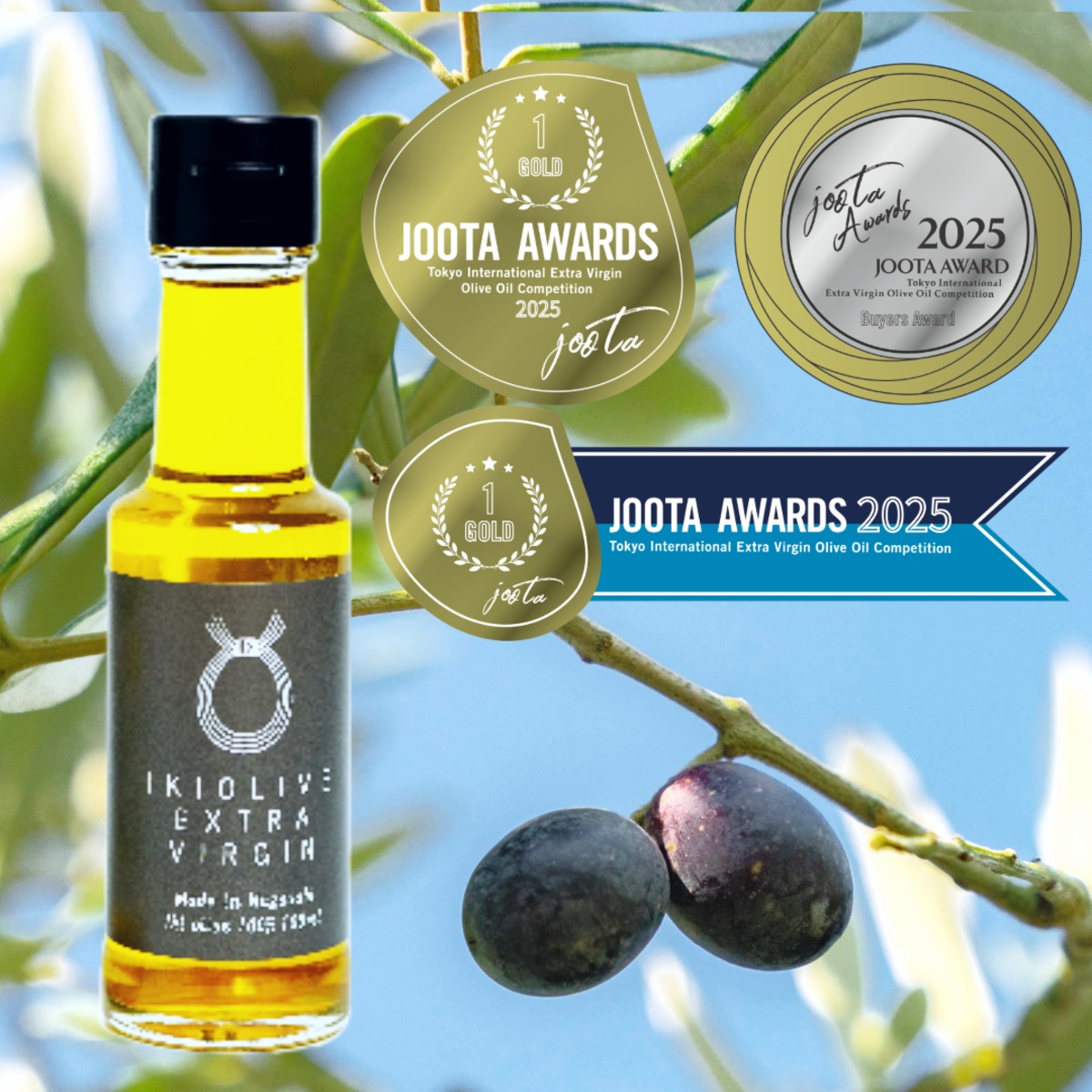 e446a21540c6e10c17d187f0991d16