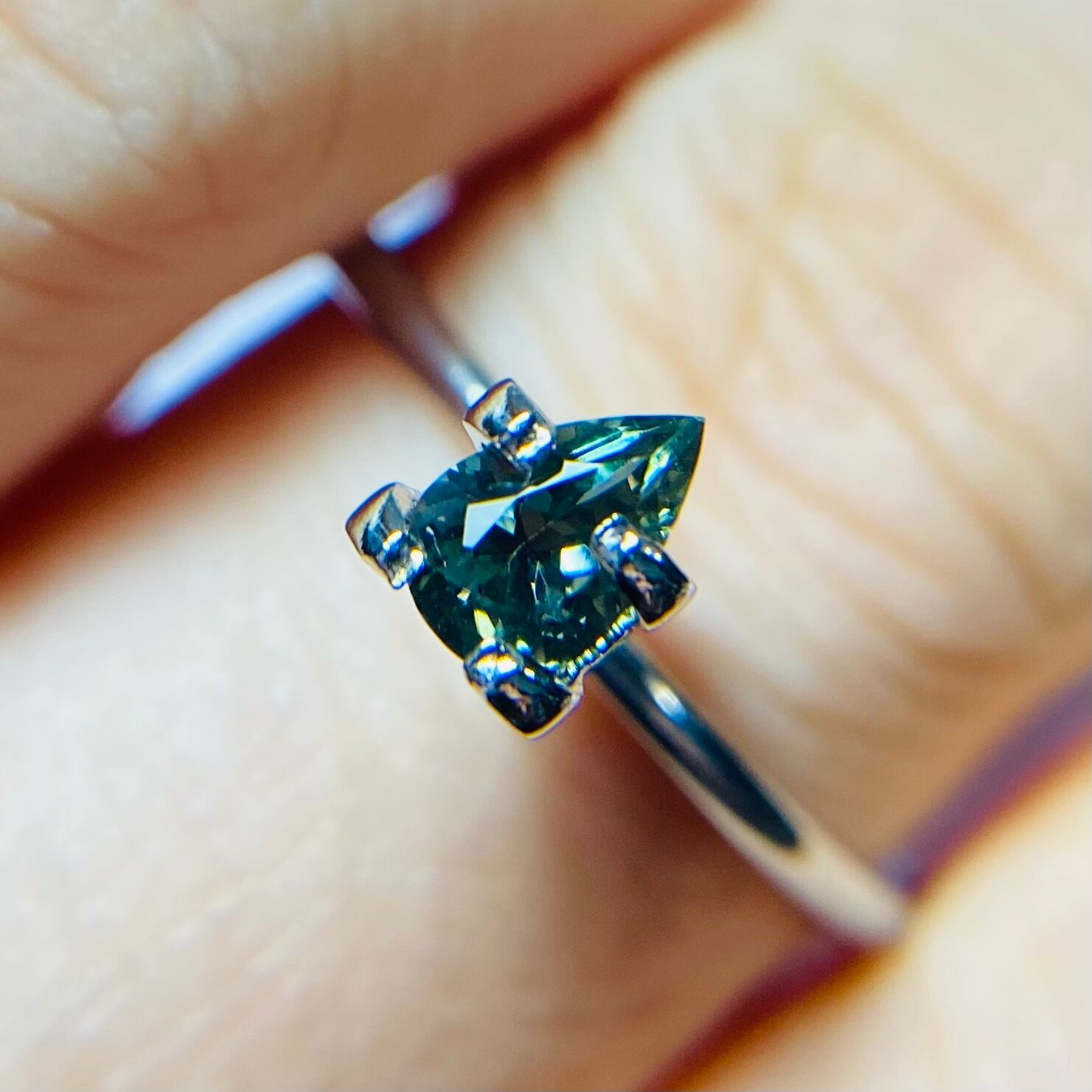 テリテリペアシェイプオレサン10