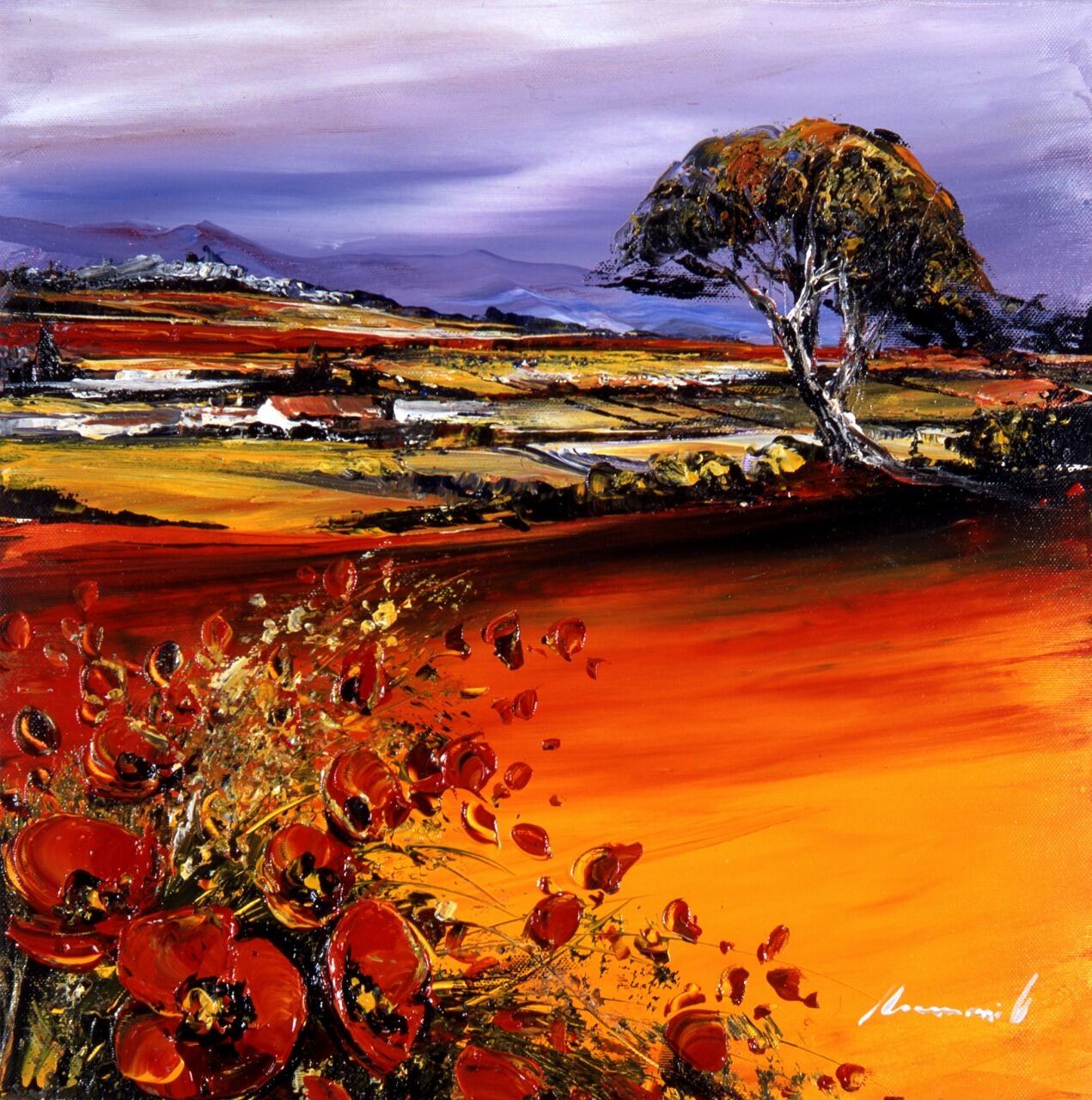 プロヴァンスのひなげし | coquelicots de Provence