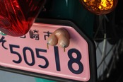 ERO'TITS NumberBolt /CC110プコブルー