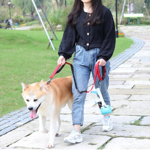 大型犬 リード 犬のリード ペット用リード 犬リード 伸縮 持ち手付き ペット用品 犬用品 中型犬 お散歩ロープ 操縦性