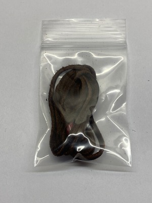 ゴローズ　新品　革紐　ダークブラウン