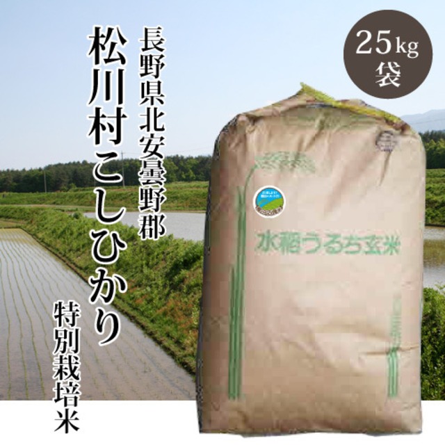 【令和5年産】長野県松川村こしひかり一等米【特別栽培米認証】（白米／玄米 25kg）