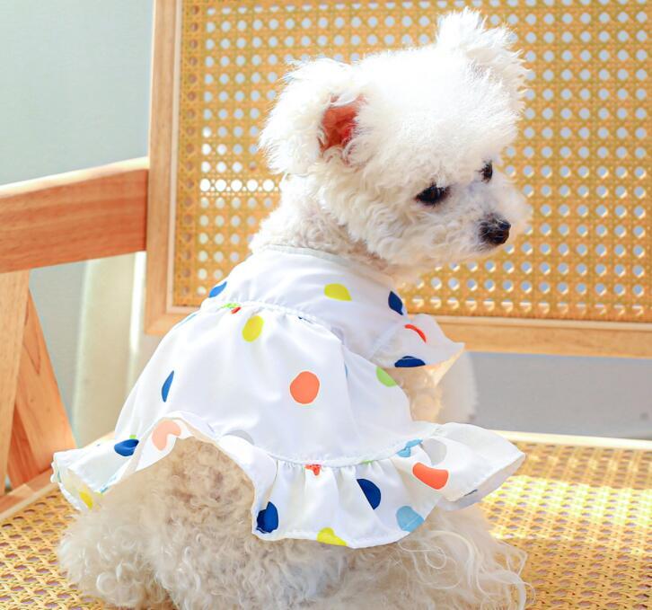 《予約》3101401 カラフル水玉ワンピース