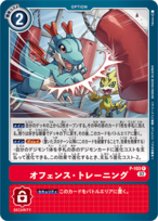 オフェンス・トレーニング 【P】