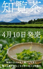 〈4月10日 発売〉　2024　新茶　鹿児島茶　80g