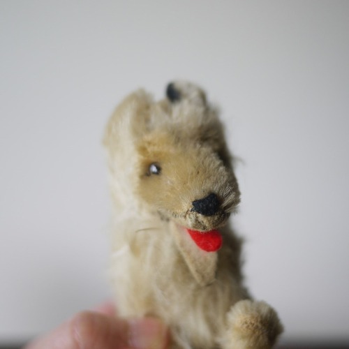 シュタイフ　犬　COLLIE 　ドイツ