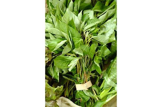 【野菜の王様】モロヘイヤ・100g