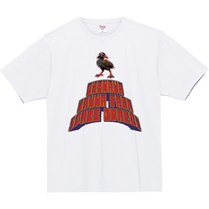 ヤンバルクイナ
