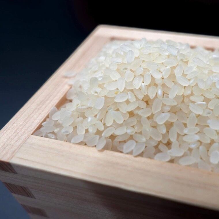 新米 遊佐のプレミアム 夢ごこち 5kg (令和7年産) | 十代目遊佐