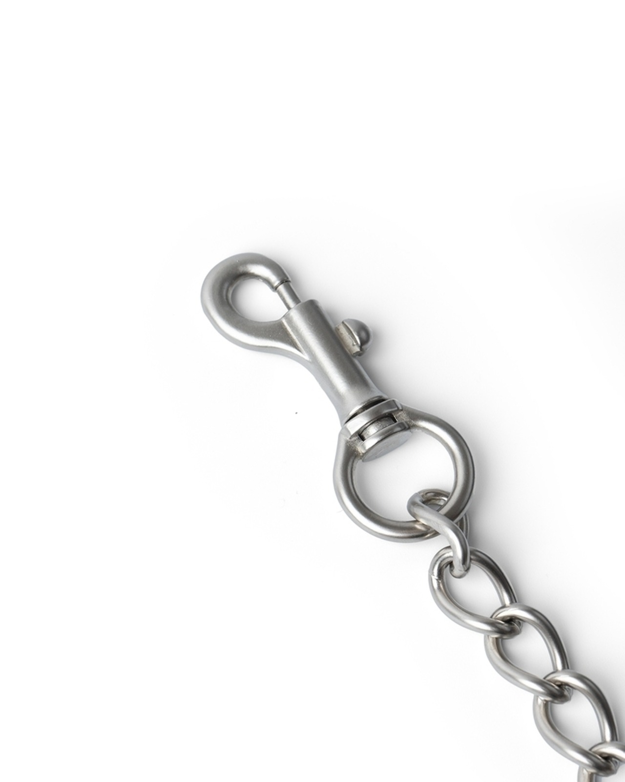refomed "GUARD STRAP〔SILVER〕"