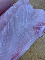 宿毛湾産 活〆ぶり 半身皮付き・カマ付フィーレ