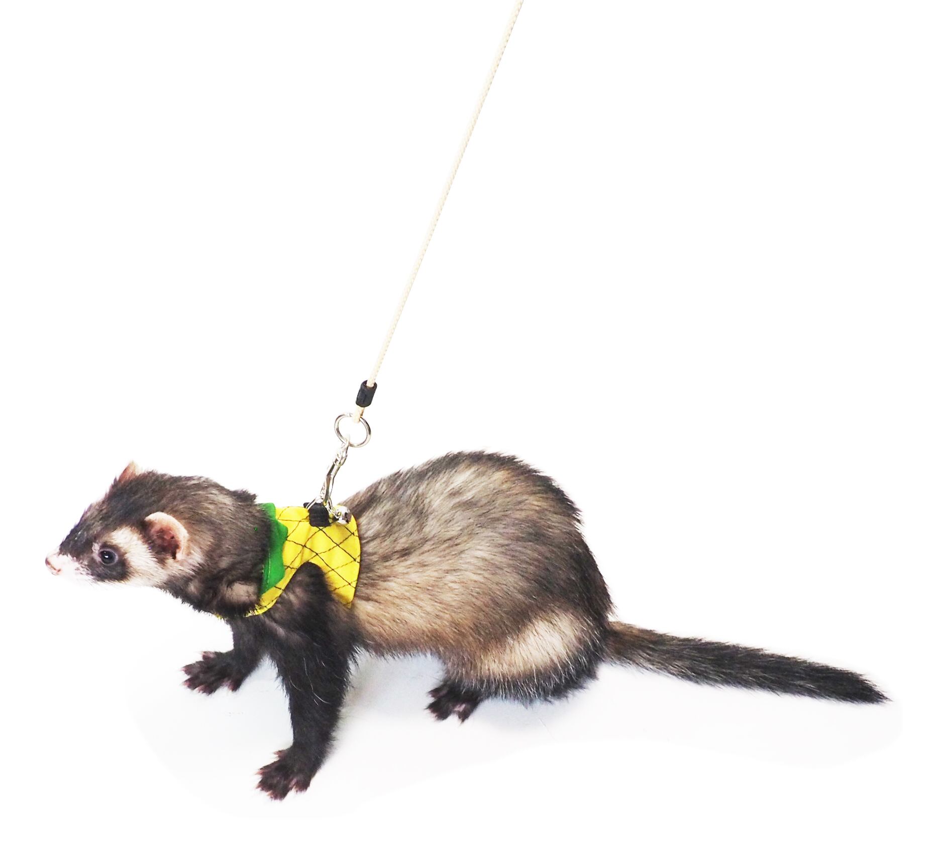 【簡単着脱】【フェレット】フェレっ子ハーネス