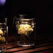 【VTギフト】sonnenglas mini ミニローズホワイトグリーン