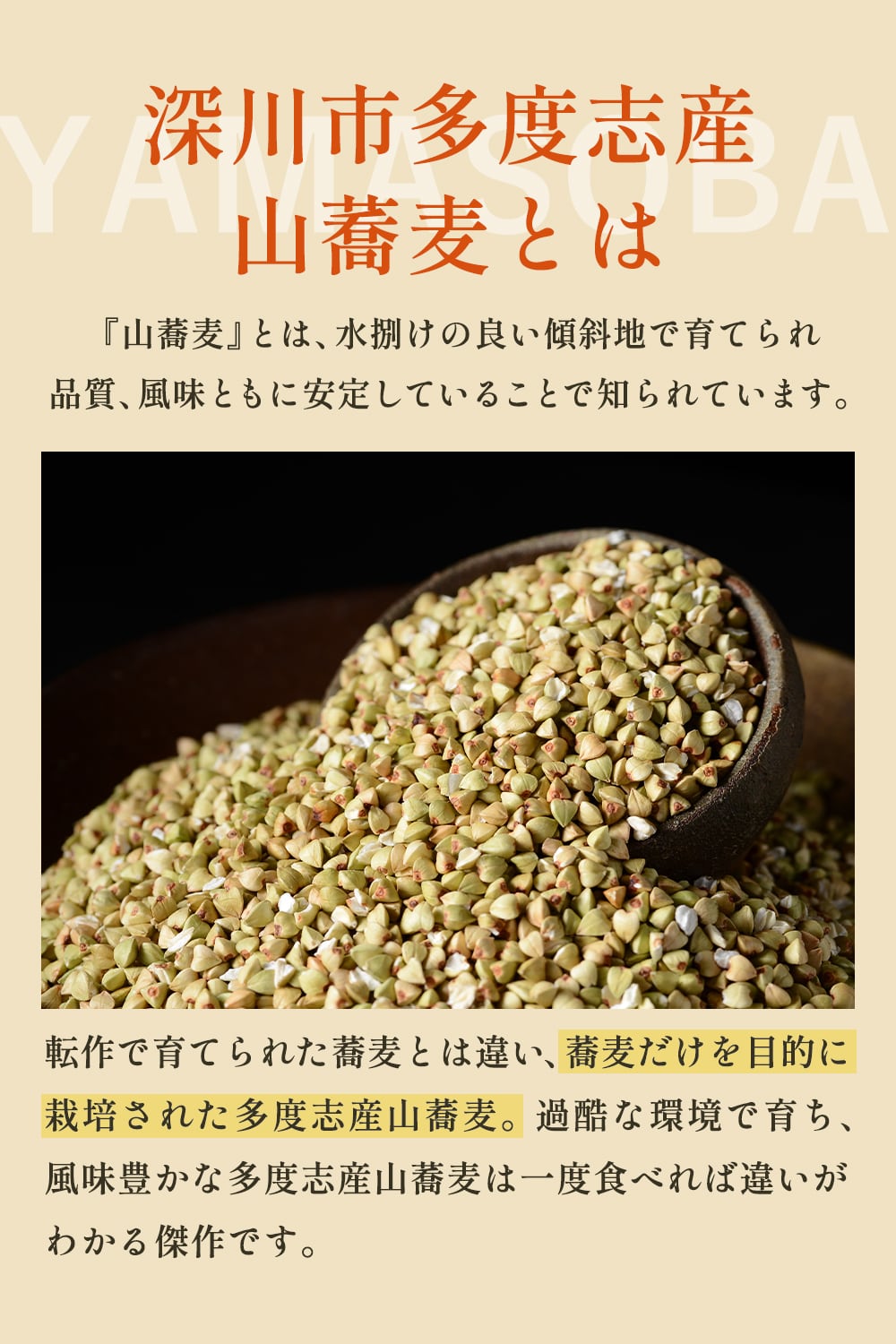 そばの実 国産 500g 北海道 深川市多度志産 石臼挽き 有名専門店使用