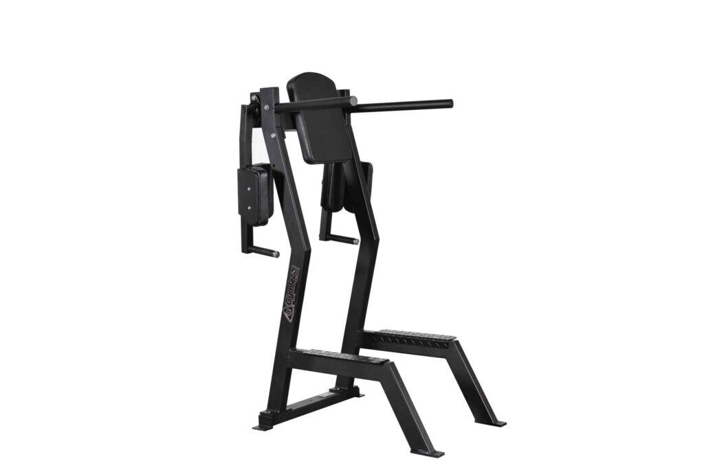 173 レッグリフト ウィズ ディップバー/レッグレイズ | gymlecojapan