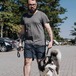 大型犬 リード 犬のリード ペット用リード 犬リード 伸縮 持ち手付き ペット用品 犬用品 中型犬 お散歩ロープ 操縦性