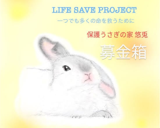 ウィングリーフ 悠兎通販部