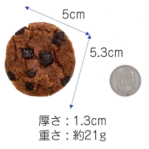 食べちゃいそうな チョコチップクッキー 食品サンプル マグネット