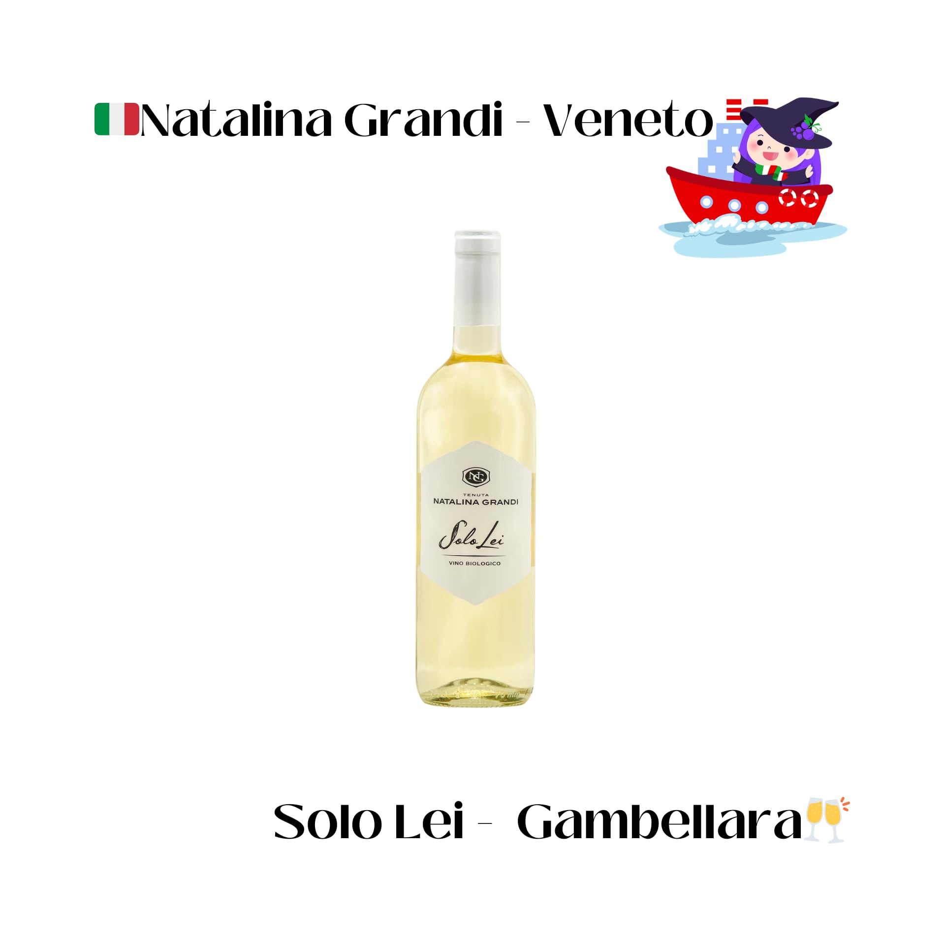 aiVino新規入港コンプリートセット24本