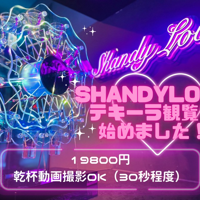 テキーラ観覧車 新品未使用 遠隔テキーラ観覧車 | shandylove