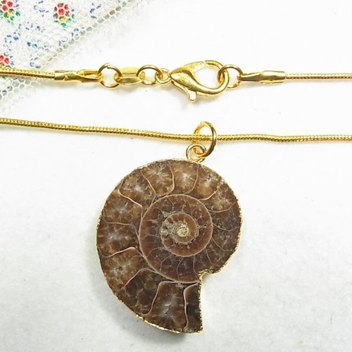 【Ammonite】アンモナイト化石スライスのペンダントネックレス 12010N
