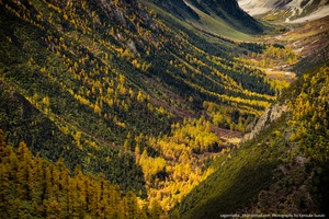 Landscape－70（ワイド四切）