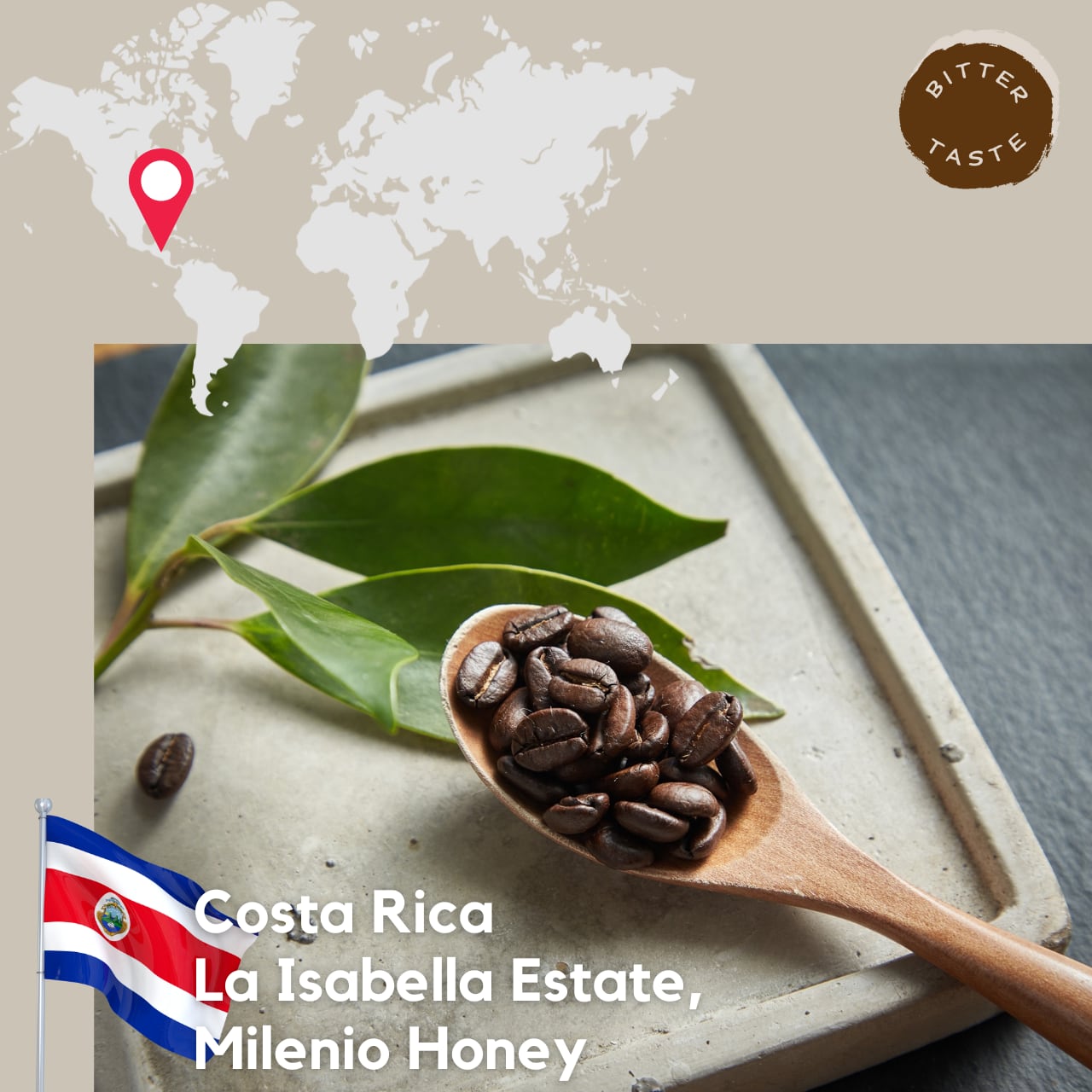 コスタリカ イザベラ農園 ミレニオ ハニー製法 100g | MAIKO COFFEE