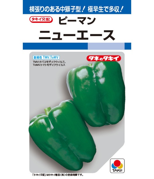 ピーマン「ニューエース」（1000粒） 画像