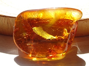 バルト海の琥珀(バルティックアンバー)No.2 ~蜜色の宝もの~