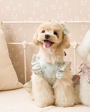 即納【kiki&nini】アメリーローズワンピース (mint)