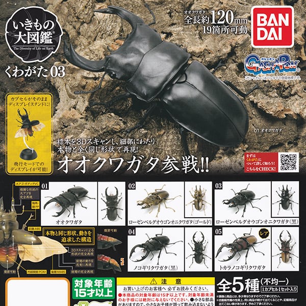 いきもの大図鑑 かぶとむし02 全5種set ガチャ/カブトムシ いきもの大図鑑 かぶとむし02 全5種set ガチャ/カブトムシ
