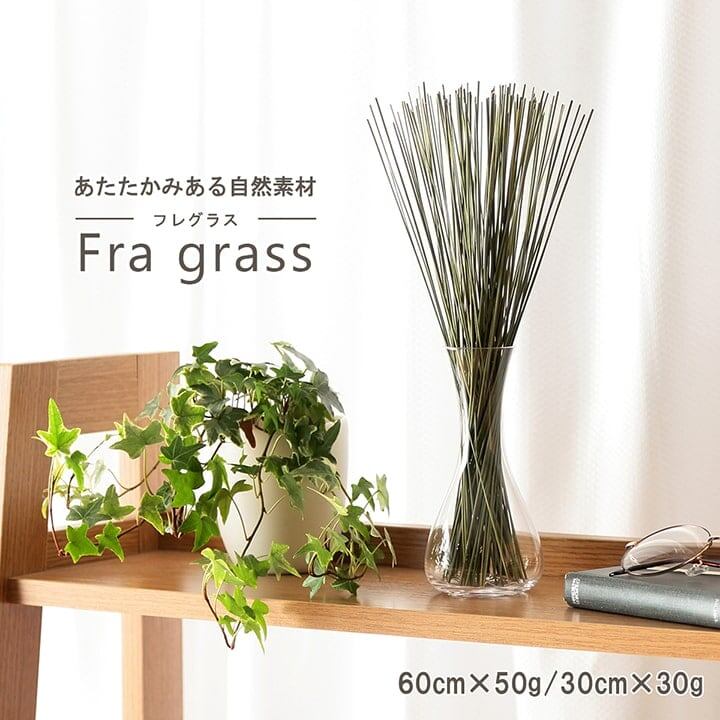 置物 みらいフレグラス 50X60 60cm フェイクグリーン オブジェ 生活雑貨